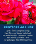 Rose flower with text listing pests protected by 3 In 1 Insecticide Fungicide Miticide For Outdoor Plants Ready To Spray 32 Fl Oz Bottle