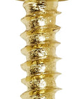 Single brass-finish steel Phillips Pan Head Sheet Metal Screw, Size 6 Diameter, Half Inch Length for auto, home, and shop projects.
