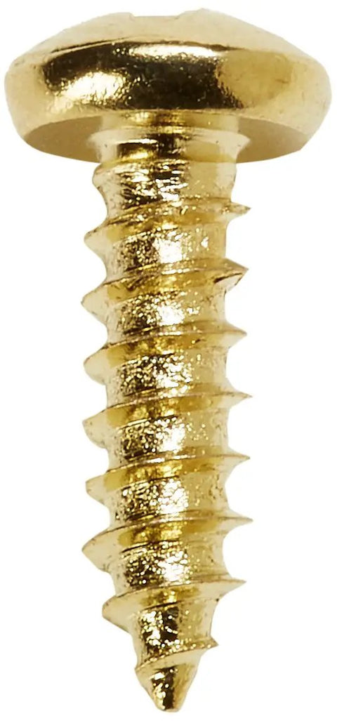 Single brass-finish steel Phillips Pan Head Sheet Metal Screw, Size 6 Diameter, Half Inch Length for auto, home, and shop projects.