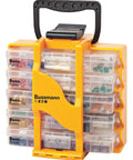 270 Piece Automotive Glass And Blade Fuse Kit In Compact See Through Case For Cars, Trucks And Buses With 270 Fuses Included