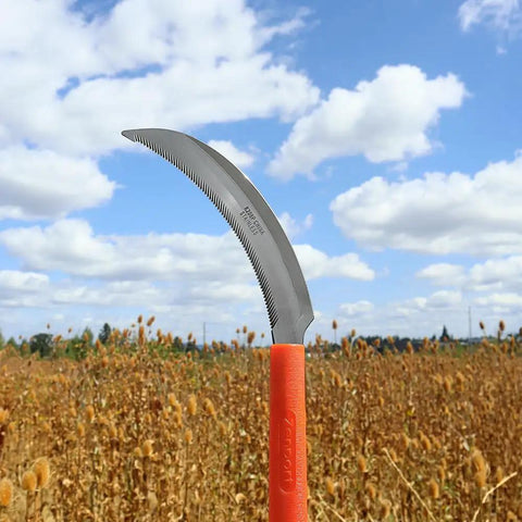 K208P Easy Grab And Go Harvest Sickle With Plastic Handle And Light Serration, 6.5 Inch Stainless Steel Blade in a field