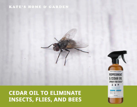 Peppermint Oil Spray For Bugs And Pests Indoor Outdoor Pest Control With Cedar Oil 16oz bottle next to fly on white surface