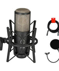 Project Studio P220 Large Diaphragm Condenser Microphone With Pop Filter And XLR Cable For Killer Pro Vocals, acoustic guitar setup