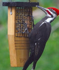 Pileated woodpecker on Tail Prop Suet Bird Feeder With Rust Free Mesh And Hanging Cable Built For Large Woodpeckers Like Pileated