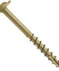 Eight By One Quarter Inch Bronze Ceramic Coated Star Drive Torx Head Exterior Truss Wood Screw with a sharp point.