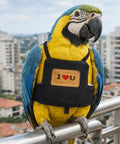Adjustable Bird Flight Suit Harness Escape Proof Design With Anti Bite Straps on parrot in denim with heart patch