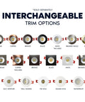 Interchangeable trim options for Top Shelf 2 Inch Led Recessed Lights 12 Pack, showcasing various finishes and styles.