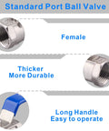 DERNORD 1/2 in stainless steel ball valve with blue lever, NPT standard port, female threads