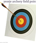 Arrow hitting bullseye on target with 100 Grain Archery Field Points Stainless Steel Tips 5/16 Inch O Ring Assembly 12 Pack