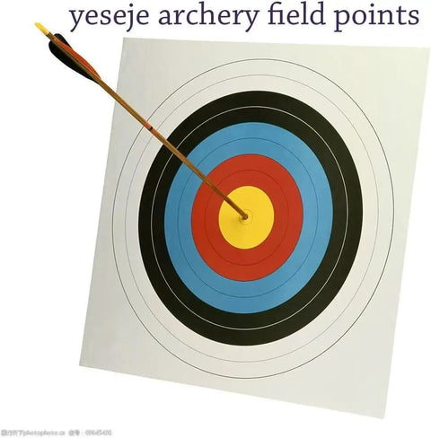 Arrow hitting bullseye on target with 100 Grain Archery Field Points Stainless Steel Tips 5/16 Inch O Ring Assembly 12 Pack