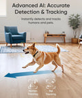 4K Indoor Security Camera With AI Auto Tracking And Night Vision captures a dog running in living room, showcasing detection feature.