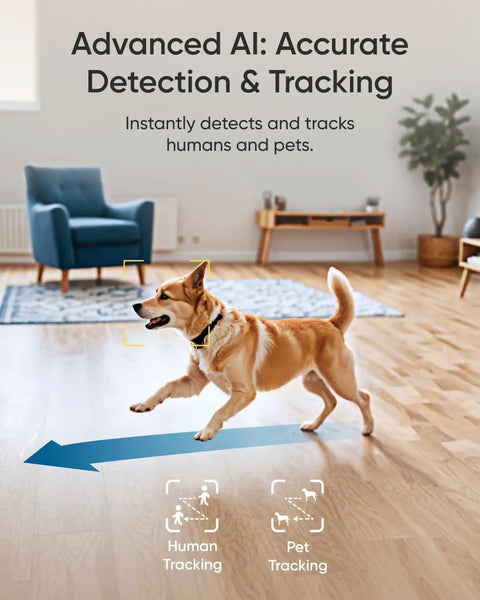 4K Indoor Security Camera With AI Auto Tracking And Night Vision captures a dog running in living room, showcasing detection feature.