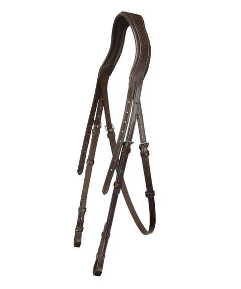 Image of Classic Dressage Bridle With Flash For English Riding, vegetable tanned leather, ergonomic comfort, side view.