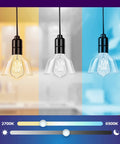 Smart Edison Bulbs Tunable Dimmable 2700K to 6500K Amber Warm and Cool White WiFi E26 LED Filament Bulbs demonstration