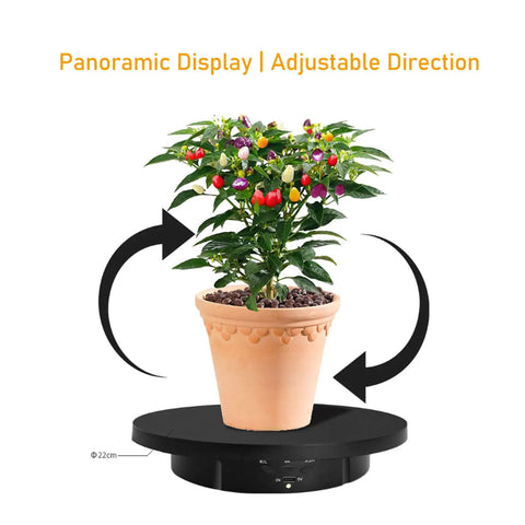 Stylish Electric Rotating Jewelry Display Turntable With Adjustable Direction And 360 View For Home Studio Showcase, showing potted plant.