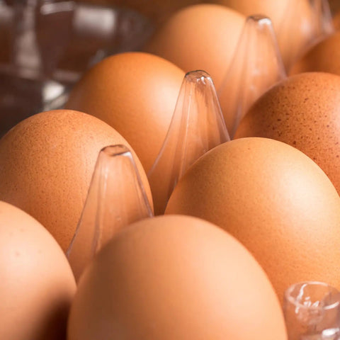 Close-up of eggs in Clear 12 Grid Egg Cartons 50 Pack Bulk For Family Farm Or Market Use Each Holds One Dozen Eggs.