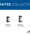 Two Light Outdoor Wall Lantern In Black Finish, Santee Style, Measures 15.25 Inches High By 8 Inches Wide By 8 Inches Deep, Weather Resistant Aluminum Construction, Classic Porch Light For Entryways shown in Santee collection display.