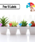Four small plant pots with colorful labels reading Orchid, Toblerone, Aloe, and Peperomia, with a hand holding similar labels.