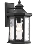 Edition Collection 1-Light Outdoor Wall Lantern with clear water glass, black textured finish, 9-inch octagonal light fixture