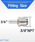 Top Shelf Stainless Steel 316 Barb Connector 1/4 Inch Hose Id To 3/8 Male Npt Bulk Pack Of 600 Pieces detail with sizes shown.