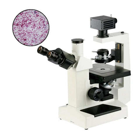 400X Trinocular Inverted Biological Microscope For Cell Culture And Tissue Study, Phase Contrast, Long Working Distance Objectives, 30 Degree Tilt Observation Tube, WF10X Eyepieces, Four Hole Converter, Ready For School Lab And Science Education, white lab microscope with sample view