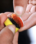 Hands assembling 1 Inch Mini Diamond Polishing Pad Set, 9 Piece Wet Dry Polishing Kit With 30 To 3000 Grit on holder