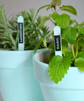Compact White Label Maker Bundle With Four Tape Rolls For Hassle Free Home And Office Storage featuring labeled herb pots with lavender and basil.