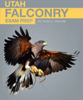 Cover of Falconry Exam Prep For Utah Enthusiasts A Practical Study Guide With realistic hawk image in flight, gray background.
