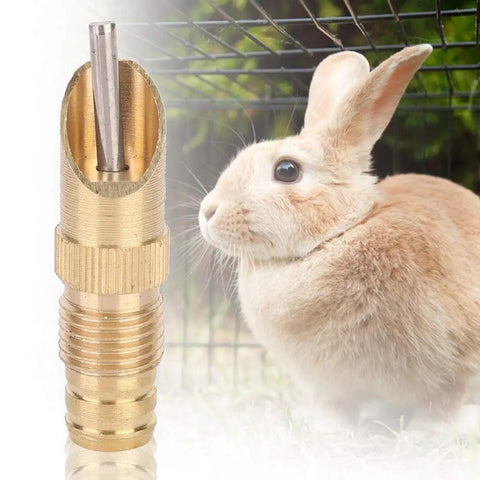 Auto Flow Rabbit Water Feeder Kit With Hose Hookup For Small Critters And Poultry Coops showing a brass nipple close-up with a rabbit.