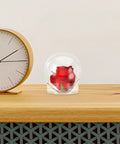 Clear 4 Inch Snow Globe Kit with fillable red rose inside, placed on wooden table next to clock for DIY decor and gift ideas.