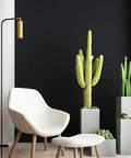 Matte Black Peel And Stick Wallpaper 17 By 120 Inch Self Adhesive Vinyl on wall behind modern chair and cactus decor