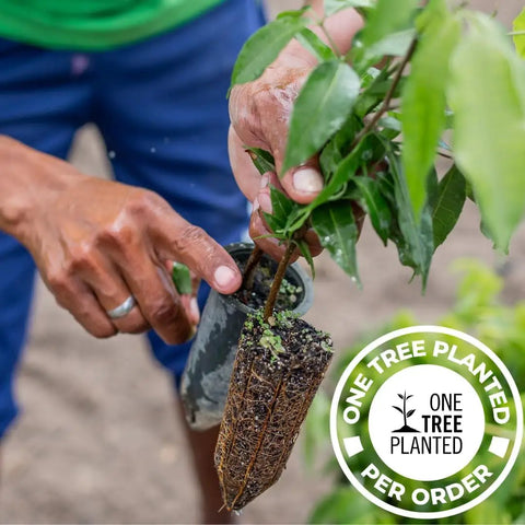Person planting a small tree in soil, promoting environmental sustainability with "One Tree Planted Per Order" initiative.