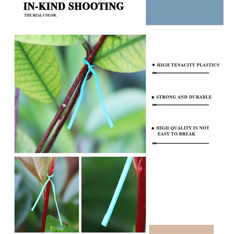 Top Shelf Flat Iron Wire Twist Ties For Garden Vine Support And Plant Securing Reusable Red Gardening Strips With Sturdy Metal Core Super Tough And No Fuss Around Shrubs Roses And Climbers, close-up of tie securing plant stem.