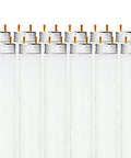 12-pack of 17W 24 Inch T8 Fluorescent Tube Light Bulb 6500K Daylight Plus, 1350 Lumens, G13 Bi Pin Base close-up view