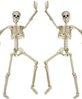Two-Pack 36 Inch Pose N Stay Skeleton Decorations For Haunted House Halloween Decor Indoors And Outdoors with movable joints