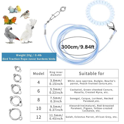 Parrot Flying Training Rope Kit With Five Size Bird Foot Rings For Cockatiels Parakeets Pigeons Outdoor Flying Kit Traction Rope Training Toy To Stop Escaping For Birds 3M Long, showing rope, rings and size chart for bird suitability.