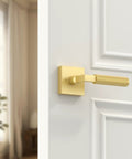 4 Pack Brushed Gold Dummy Interior Door Handles For Closet French Doors Pantries And Interior Push Pull Doors Decorative Non Turning Door Levers Perfect For Cabinet Closets And Double Doors In Modern DIY Homes brushed gold lever on white door