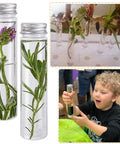 18 Pack 115 Ml Clear Plastic Test Tubes With Screw Caps Flat Bottom Great For Bath Salts Candy Party Favors Weddings Christmas Decor And DIY Craft Projects In Clear PET Containers, shown with herbs and flowers