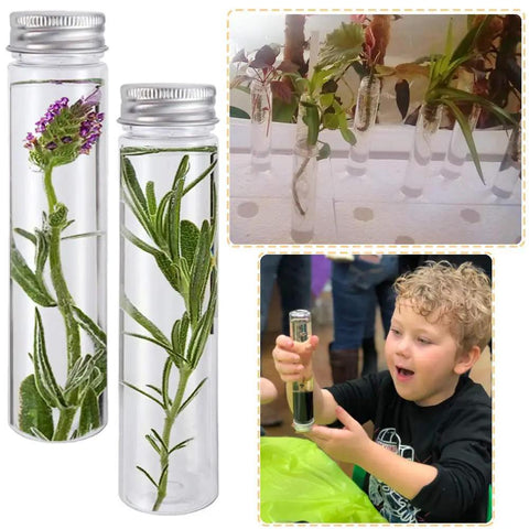 18 Pack 115 Ml Clear Plastic Test Tubes With Screw Caps Flat Bottom Great For Bath Salts Candy Party Favors Weddings Christmas Decor And DIY Craft Projects In Clear PET Containers, shown with herbs and flowers