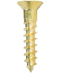 Top Shelf Solid Brass Flat Head Wood Screws #5 X 1/2 Inch With Traditional Slotted Drive, close-up view of a screw