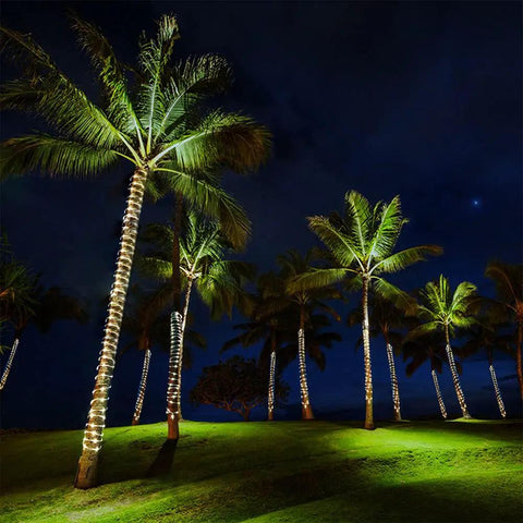 Palm trees wrapped in 33ft Solar Rope Lights With 100 LEDs, 8 Modes, IP65 Waterproof Tube Lights For Outdoor Garden Roof Fence And Tree Decor.