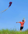 Child flying Giant 3D Goldfish Frameless Soft Parafoil Kite For All Ages, Kid And Adult Friendly, Easy Flyer in clear blue sky