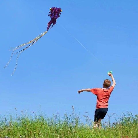 Child flying Giant 3D Goldfish Frameless Soft Parafoil Kite For All Ages, Kid And Adult Friendly, Easy Flyer in clear blue sky
