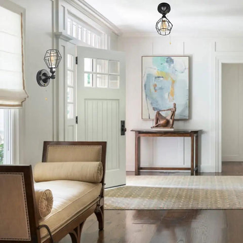 Dope Black Metal Wire Cage Ceiling Light With Pull Chain in a modern entryway with decorative furnishings