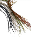 Ten Pack Hand Selected Whiting Bronze Rooster Saddle Fly Tying Feathers in five colors, 20 to 30 cm, for trout fishing hook size 18 to 20