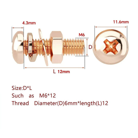 Heavy Duty Cross Head Screws And Nuts Kit With Flat And Spring Washers M6x16mm Stainless Steel 304 All In One Hardware Fastener Set For Indoor And Outdoor Use M6x12 screw dimensions shown