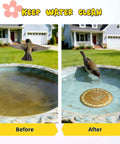 Before and after comparison of outdoor bird bath with Nearly Ninety Nine Point Nine Percent Pure Copper Purification Disk installed