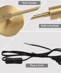 Gold Plug In Wall Sconce Two Light Bathroom Vanity Light Brass Wall Reading Light Retro Vibe Mid Century Modern Style components