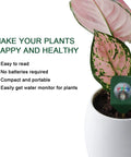 Portable Plant Moisture Meter No Battery Needed Plug And Play Indoor Outdoor Soil Tester Kit Hygrometer For Houseplants Easy To Read Moisture Gauge To Help Healthy Roots And Growth in potted plant with gauge visible