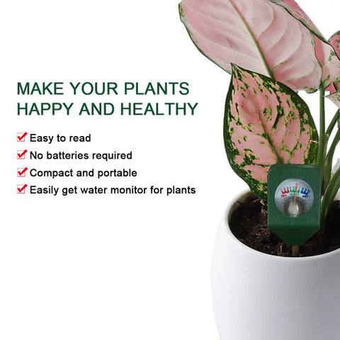 Portable Plant Moisture Meter No Battery Needed Plug And Play Indoor Outdoor Soil Tester Kit Hygrometer For Houseplants Easy To Read Moisture Gauge To Help Healthy Roots And Growth in potted plant with gauge visible